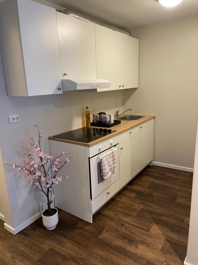 Central Studio Apartment Stavanger Eksteriør billede